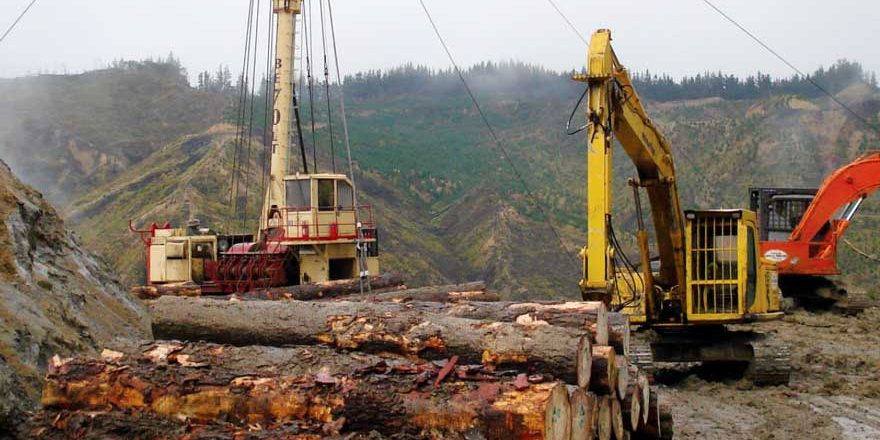 engineering forestry products