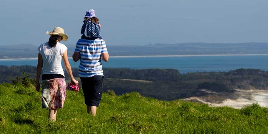 sustainable engineering in nz